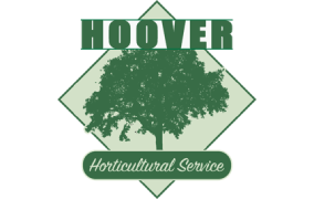 hover